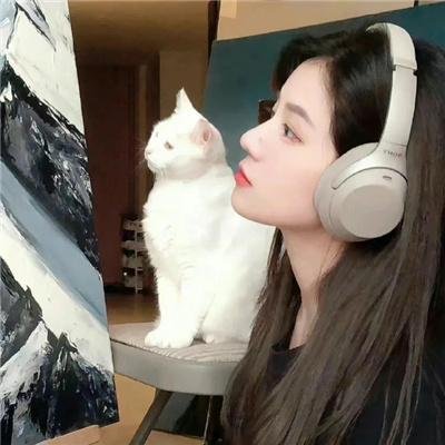 情圣来了海报