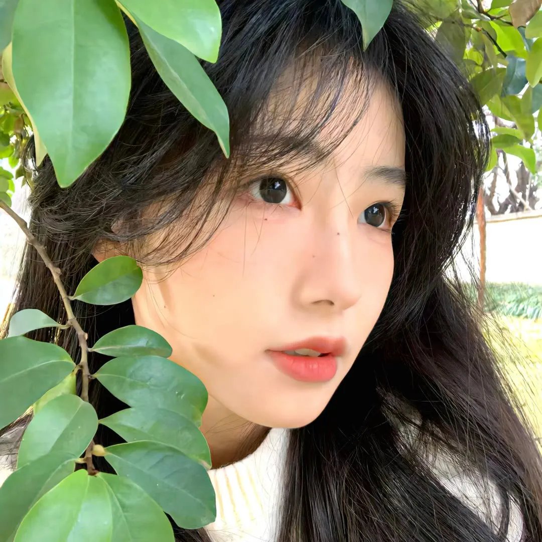 莱奥诺拉的告别海报